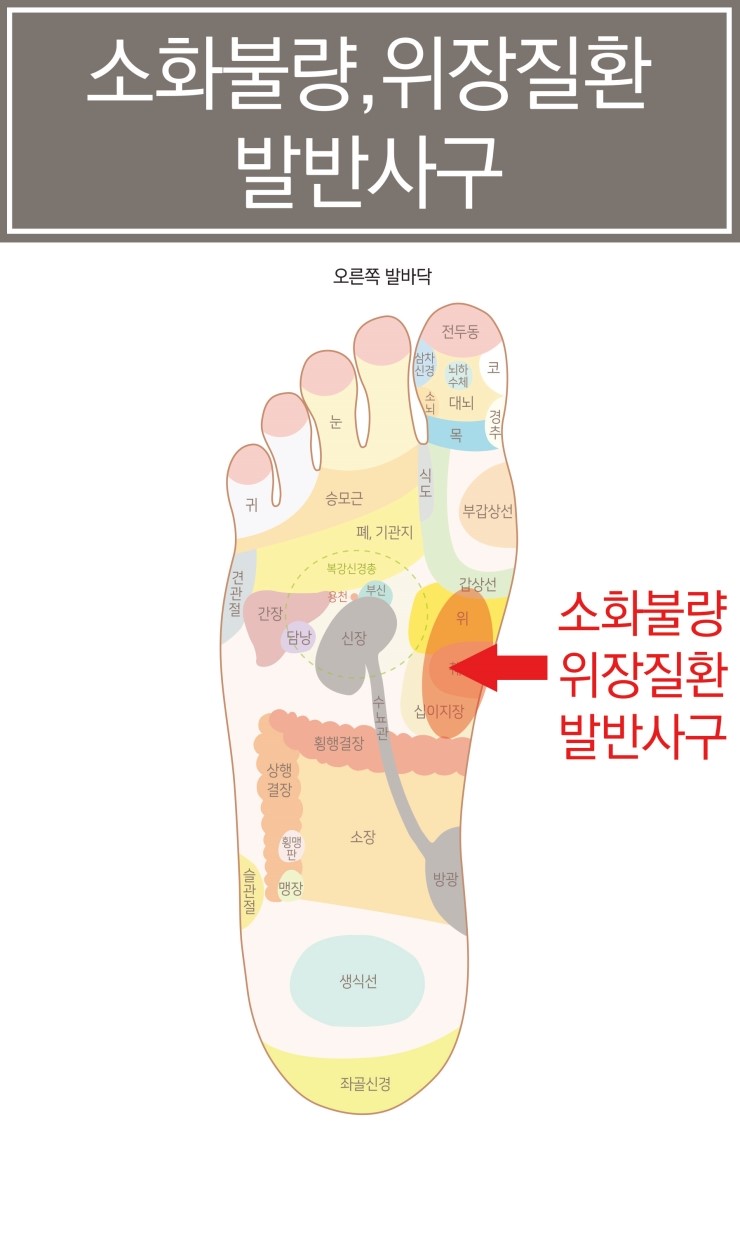 발지압 효과 발바닥 지압이 중요한 이유 아시나요? - a9