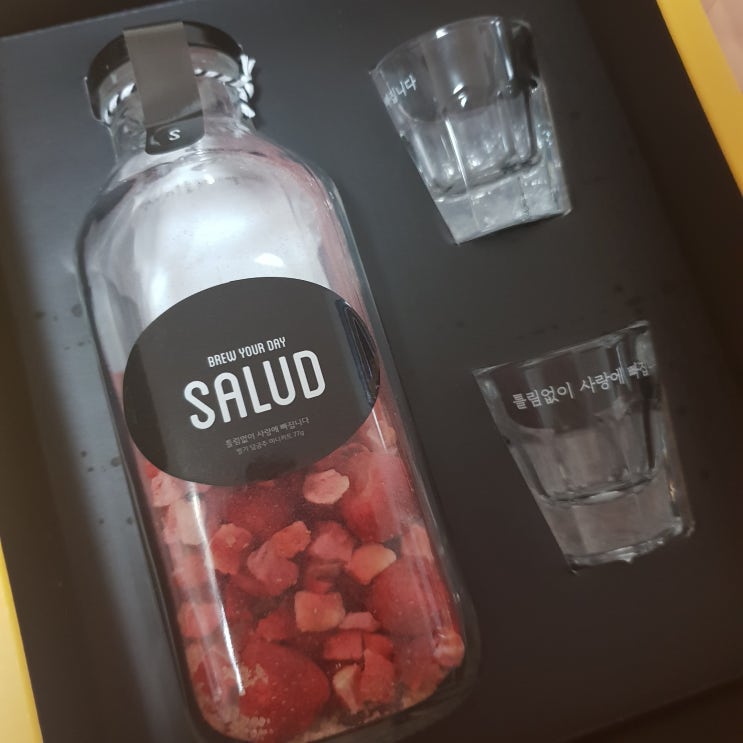  [SALUD] 우정 여행 준비, SALUD 담금주!