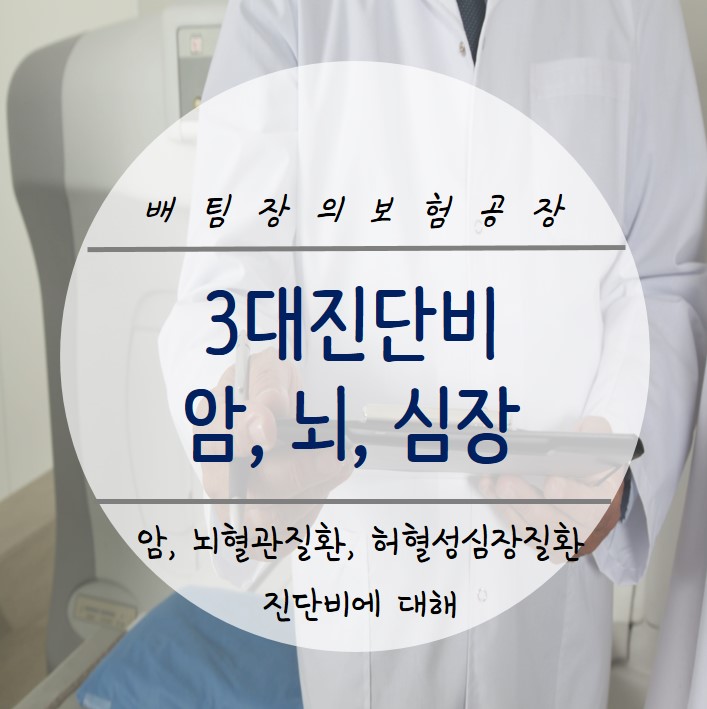  암보험, 뇌혈관질환, 허혈성심장질환 진단비 얼마나 준비되어 있나요? 가입된 보험 확인해보세요.