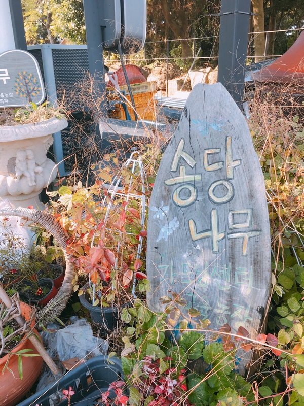  제주여행첫째날 ⑤ - 구좌읍 꽃과 나무가 많은 송당나무카페