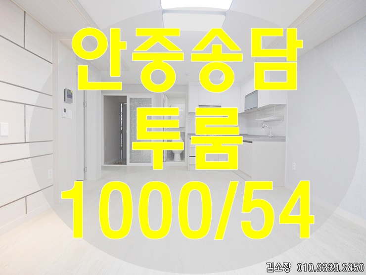  안중송담지구에서 투룸월세 어디가 좋을까요? 일단볼까요??
