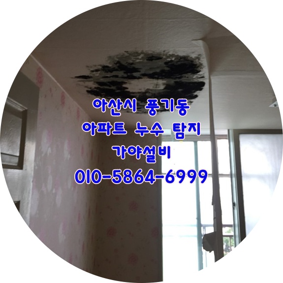  아산시 풍기동 인정프린스아파트누수 천장누수 화장실누수 누수의 원인은?