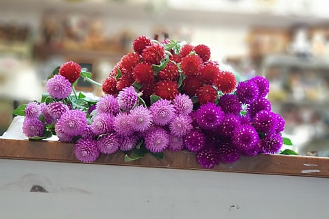 꽃향기공방 이미지