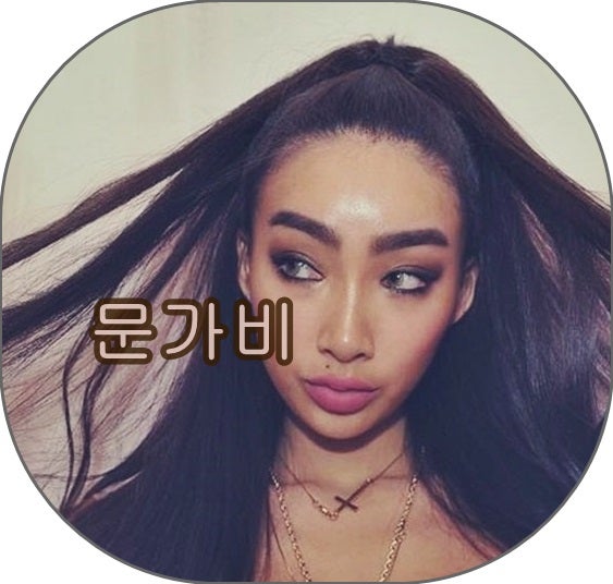 정글의법칙 문가비 나이, 키, 몸매, 성형, 남친, 쌩얼, 혼혈 등