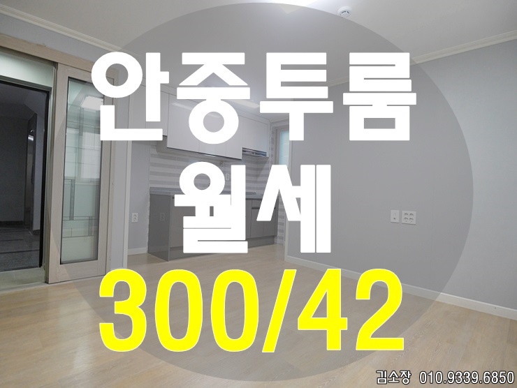  안중송담지구에서 안중원룸월세 알아보다가 투베이 갈수 있다 유후!