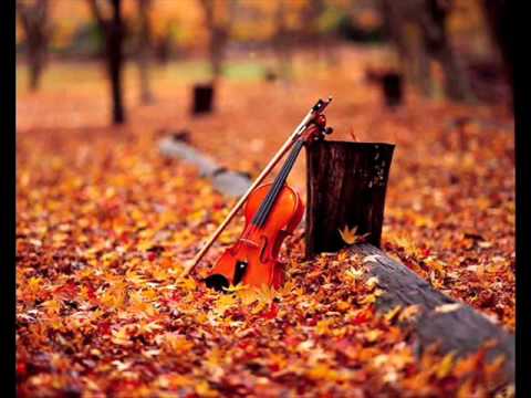 장욱조 – 낙엽위의 바이올린