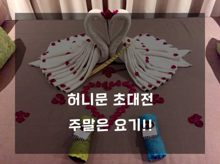  신혼여행패키지 전국일정 혜택설명해드립니다