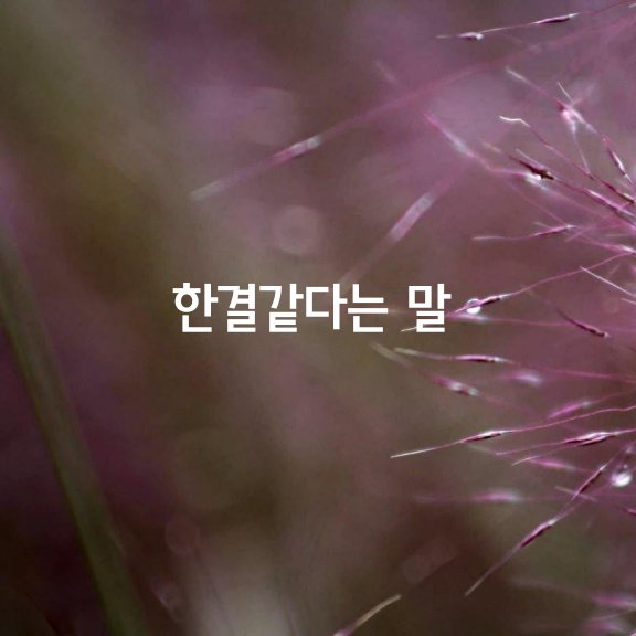  한결같다는 말