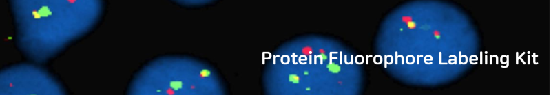 [JenaBio] Protein Fluorescent Labeling kit : 네이버 블로그