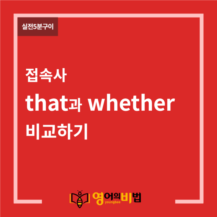  접속사 that과 whether 비교하기 (that용법, 명사절, 접속사 if, ~인지 아닌지, 영어의비법)