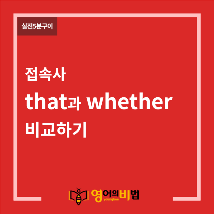 접속사 that과 whether 비교하기 (that용법, 명사절, 접속사 if, ~인지 아닌지, 영어의비법)