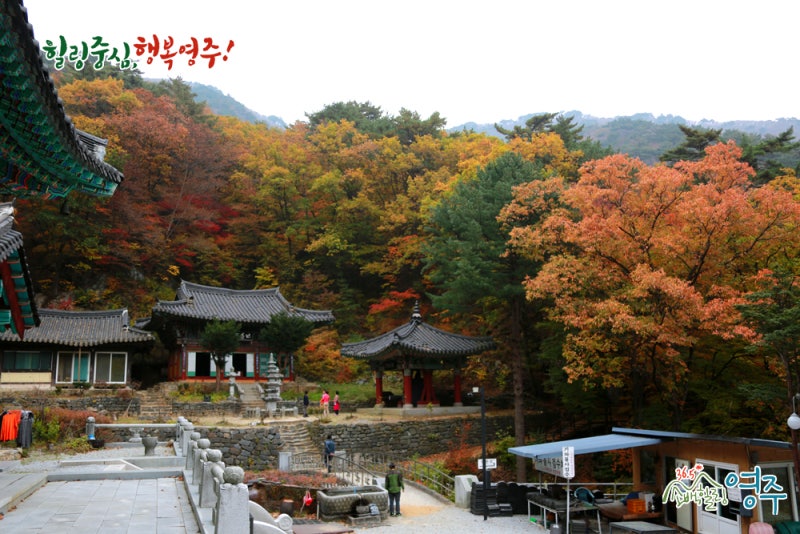 국내 가을 여행 가을 단풍의 절정을 보이고 있는 희방사! : 네이버 블로그