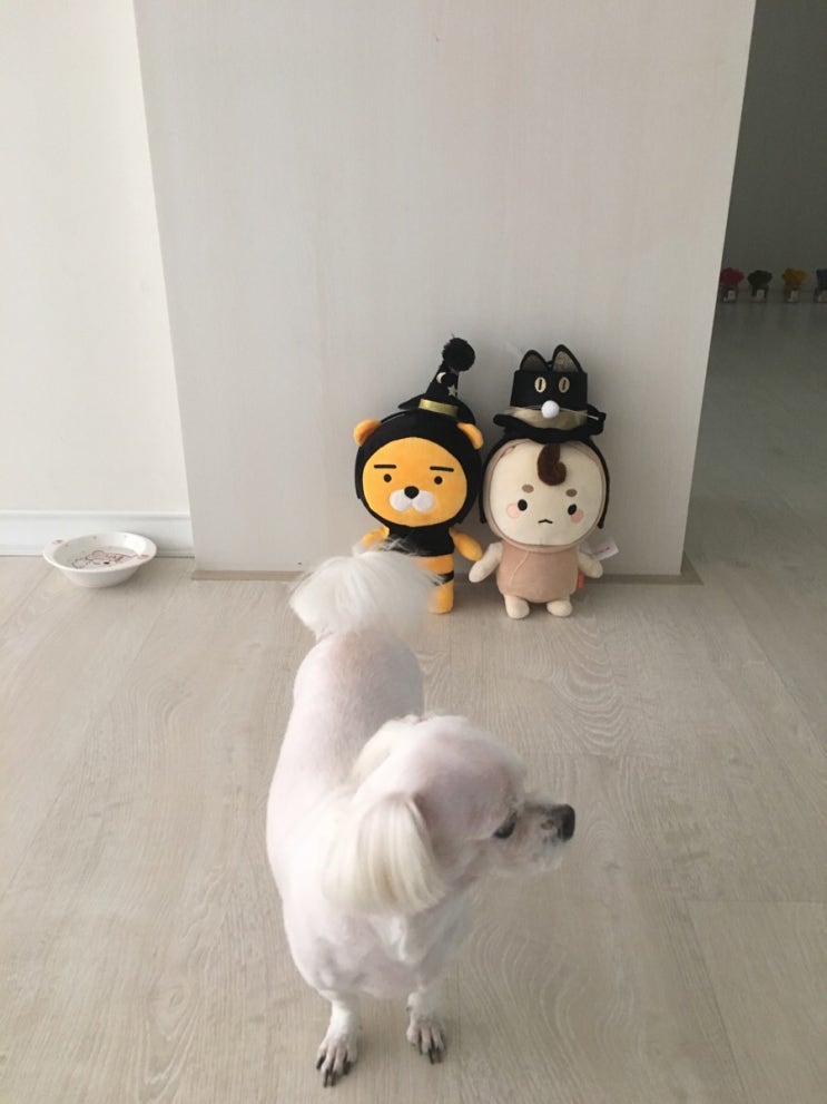  [인테리어]할로윈데이준비 그리고 잭오랜턴 유래
