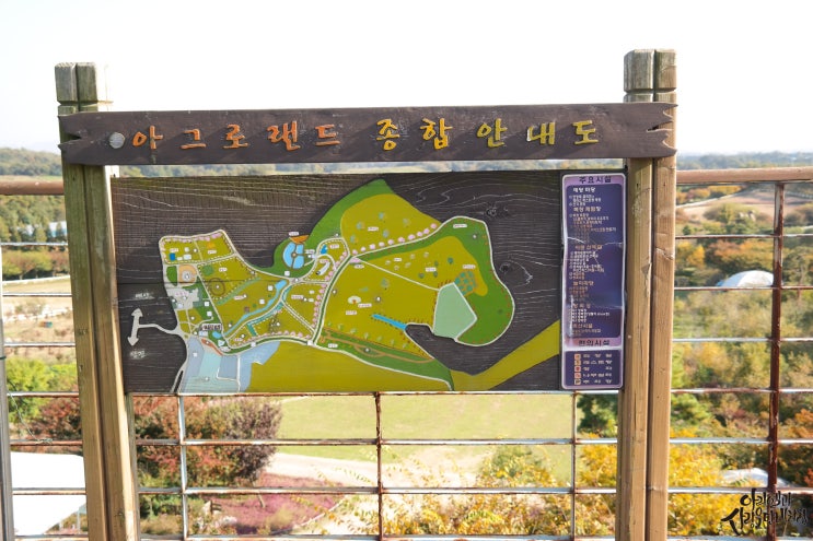  가족여행::당진 아그로랜드 태신목장1/10.24~26