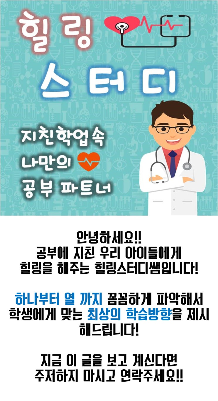  덕진구 전미동 고랑동 반월동 초등과외 초등영어과외 유아 파닉스과외 한글과외