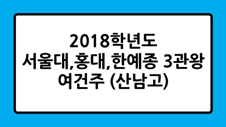 2018학년도 서울대,홍익대,한예종 3관왕 합격생 수기