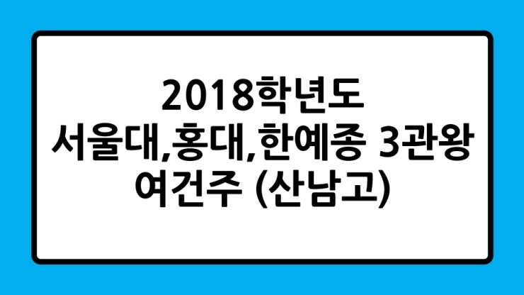  2018학년도 서울대,홍익대,한예종 3관왕 합격생 수기
