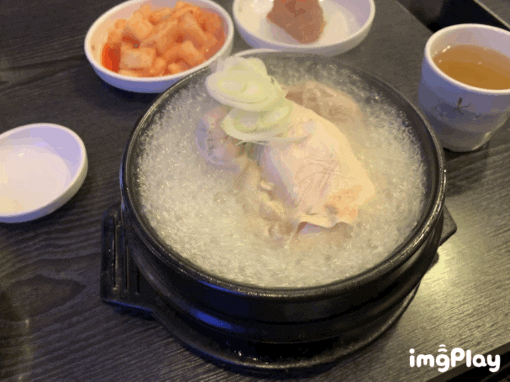  [강남/신논현 맛집] 강남 삼계탕 ★5.0