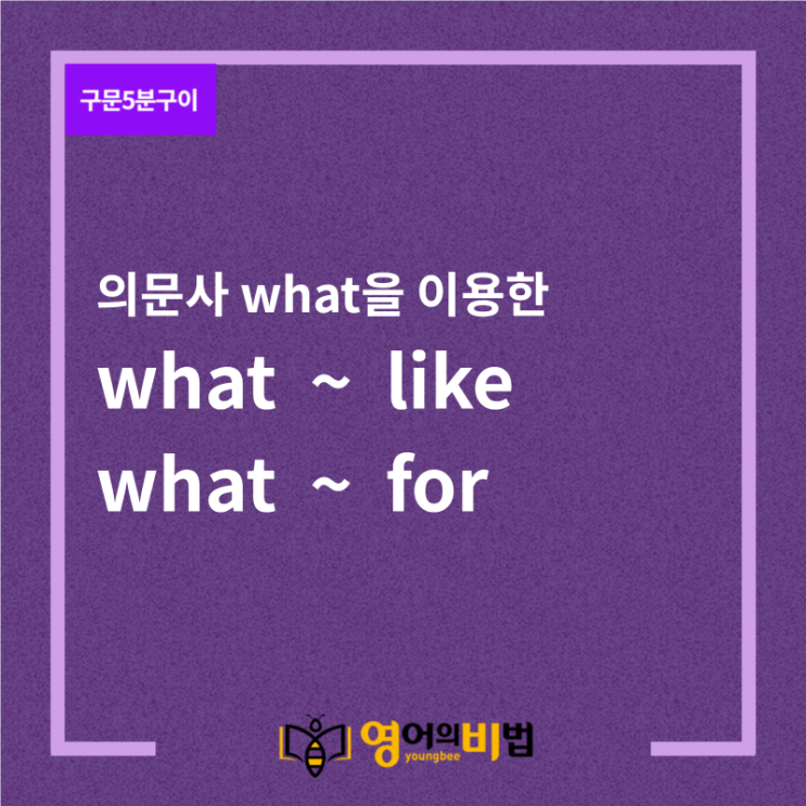  what ~ like과 what ~ for (의문대명사 what, what like, how, what for, why, 무엇 같은지, 어떤지, 무엇을 위하여, 왜)