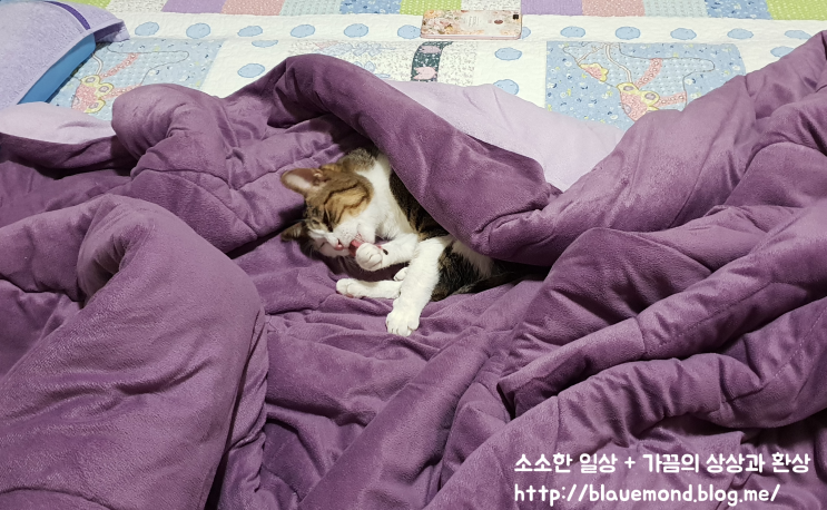 18.10.21_꼬리