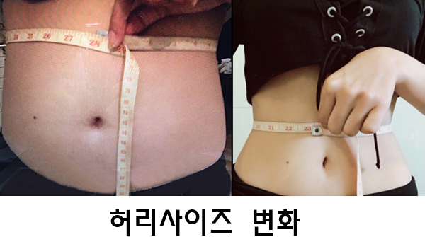  모링가 효능 장독소제거 + 디톡스 -10kg