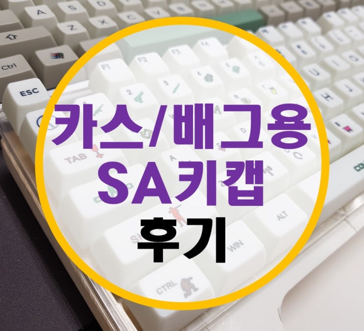 카스/배그용 SA 키캡 사용기 (ABS, PBT 비교 및 염료승화, 이중사출, 레이저각인 비교)