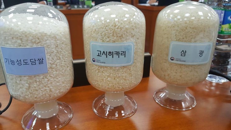 국회의원 박완주, 쌀 이야기