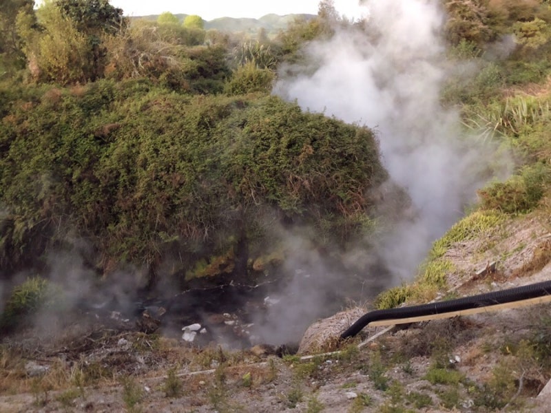 Rotorua trip 첫째날 - 로토루아맛집 Capers / Kuirau Park / Waikite Valley Thermal ...