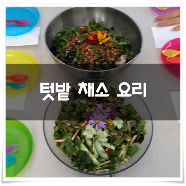  텃밭채소 비빔밥과 샐러드