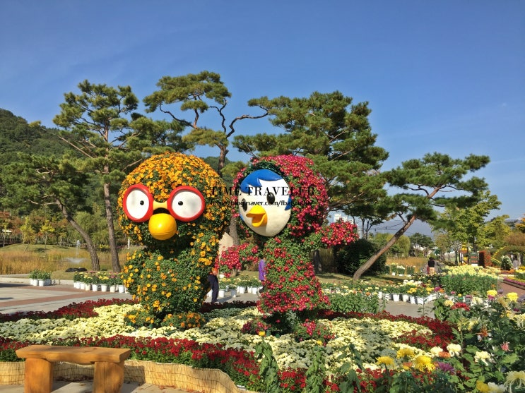  양산 국화 축제, 국화 향연 꽃놀이