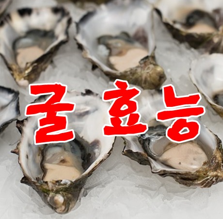  굴효능 겨울철 별미 영양풍부하네요