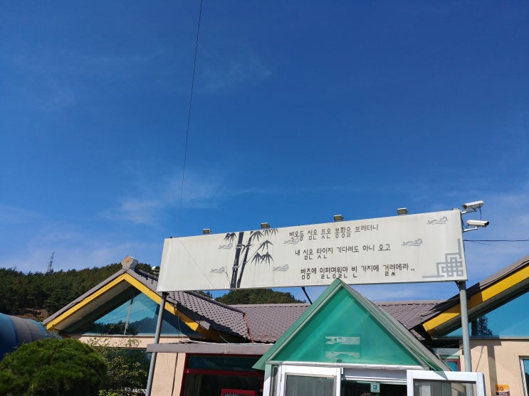  순천맛집 벽오동에서 푸짐한 보리밥정식