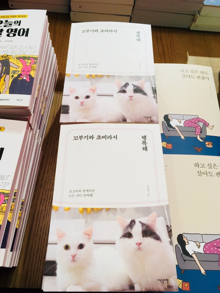  꼬부기 쵸비 책 출간