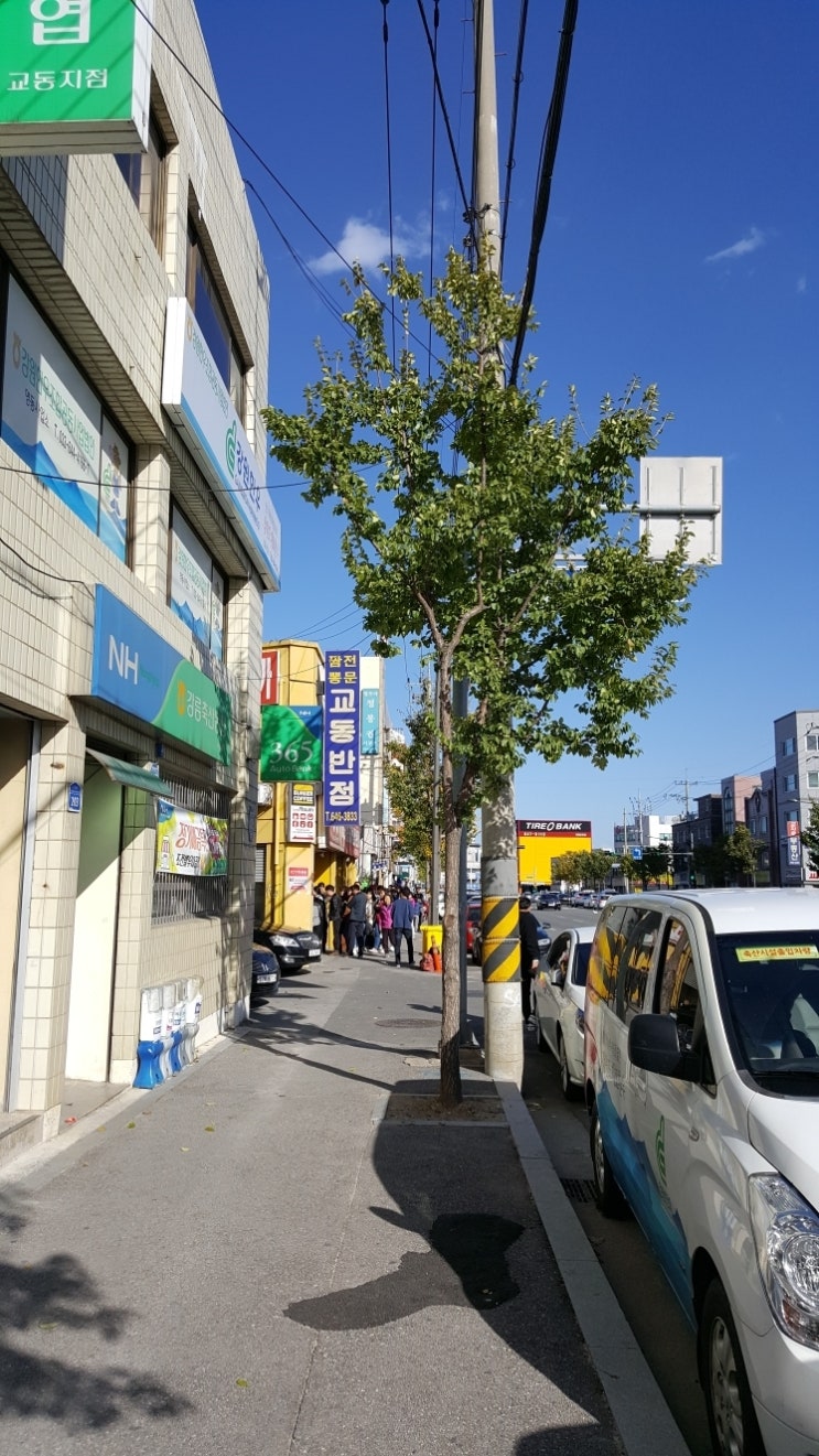  강릉교동짬뽕