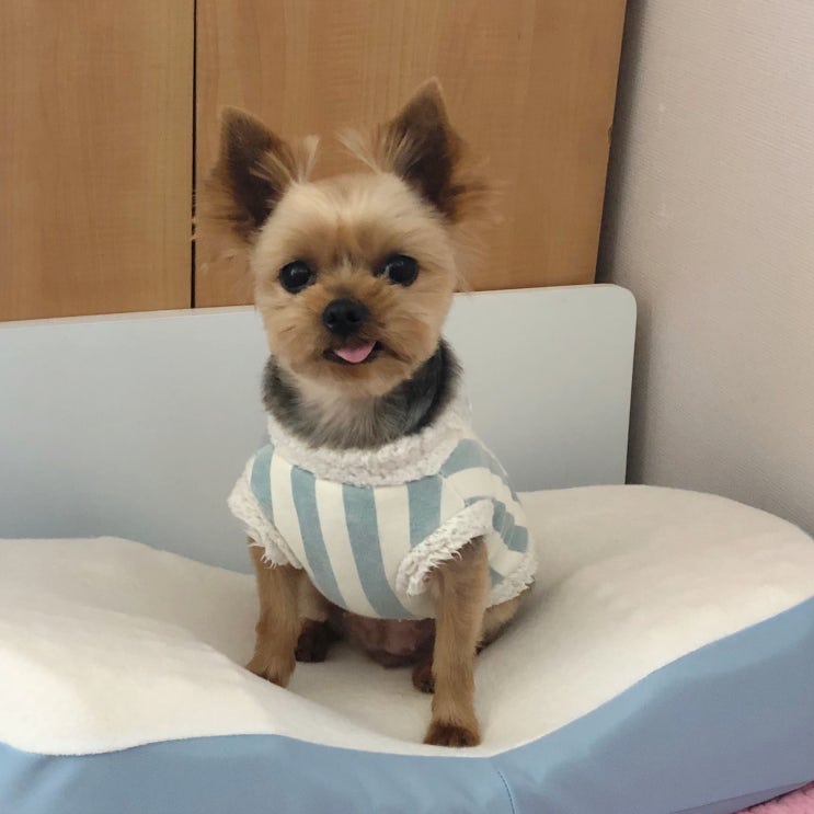  일상 :: 181028 아빠 생신으로 본가 / 겨울준비