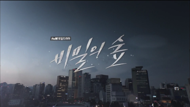 tvN 비밀의 숲 13화~14화 (2017)