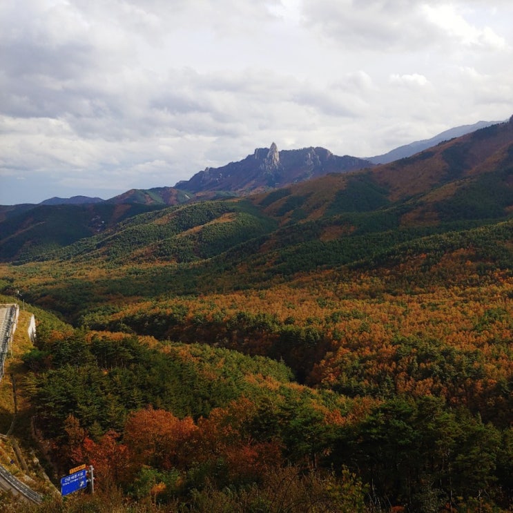  설악산 설악케이블카 후기