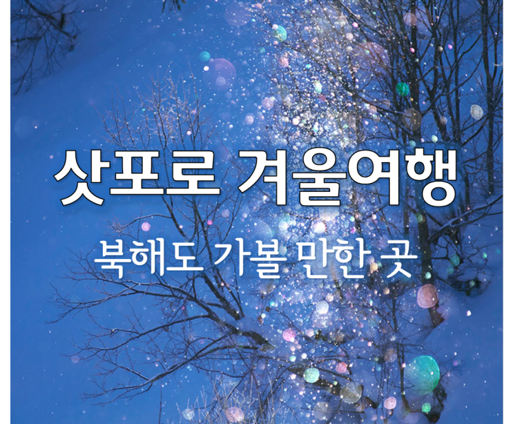 12월 삿포로 여행, 일본 북해도 겨울 자유여행 코스 추천!