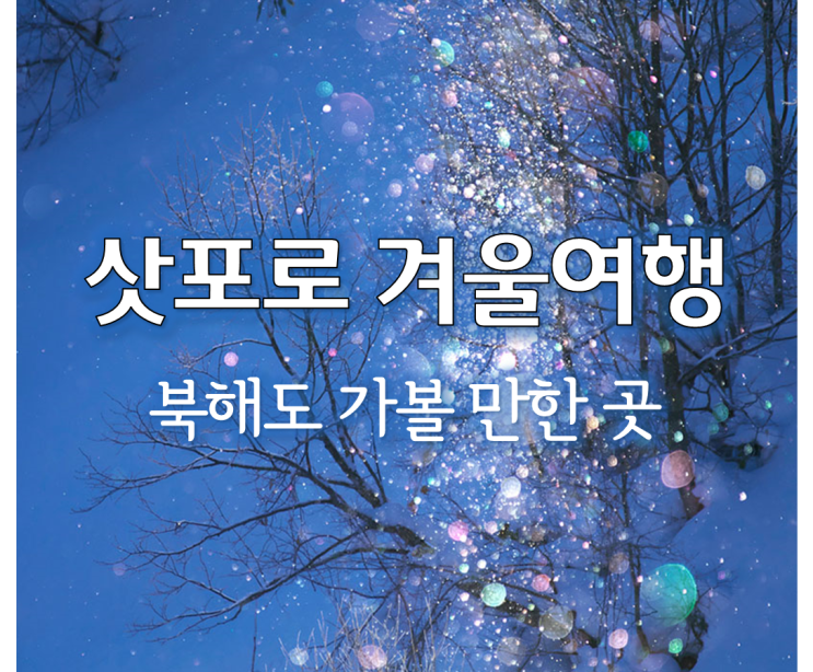  12월 삿포로 여행, 일본 북해도 겨울 자유여행 코스 추천!