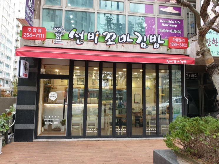  포항 김밥 양덕 선비꼬마김밥 중독성있네~