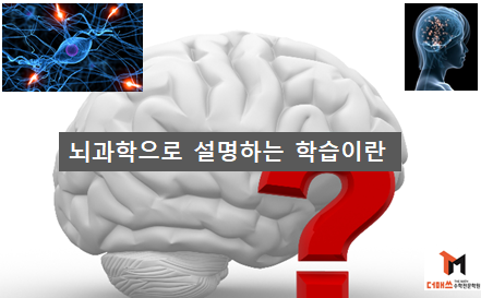 [진해수학학원/더매쓰] 뇌과학으로 설명하는 단기/장기 기억, 그리고 학습의 메카니즘
