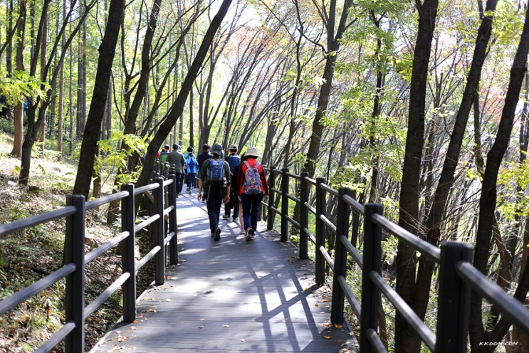 서대문 안산자락길, 봉수대까지 올라가기 서대문 안산자락길, 봉수대까지 올라가기