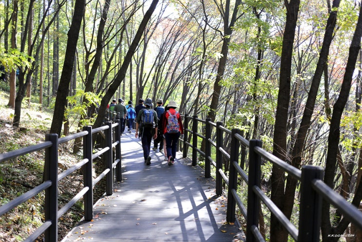 서대문 안산자락길, 봉수대까지 올라가기