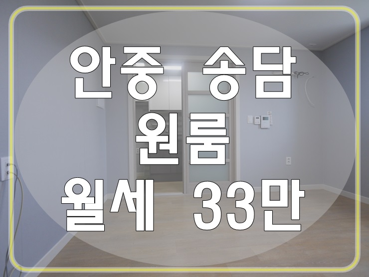  안중원룸월세 신축 풀옵션 월세 너무 저렴한 월세!!