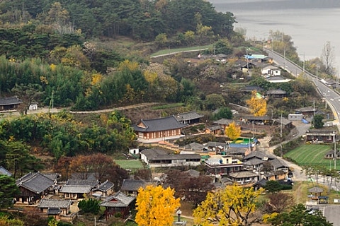 대구종합농기계 이미지