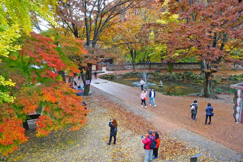 내장산 단풍철 불출봉 등산 코스 리뷰! (feat. 국립공원 스탬프 투어) 7