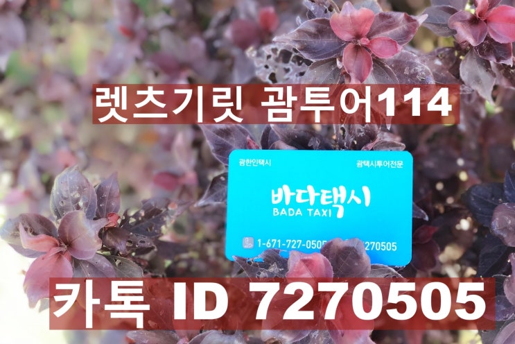  괌한인택시♥️괌택시♥️괌 저렴한 투어비
