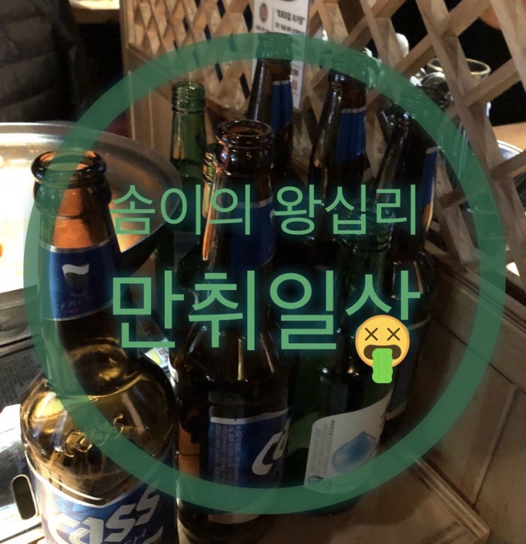  20181027만취일상/도담치킨/37포차