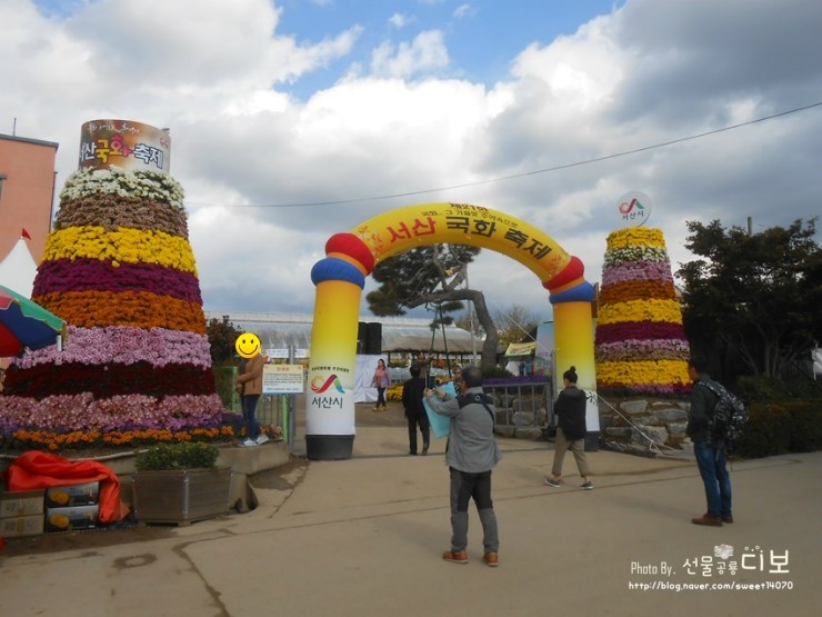  2018년 서산국화축제 다녀왔어요 ~