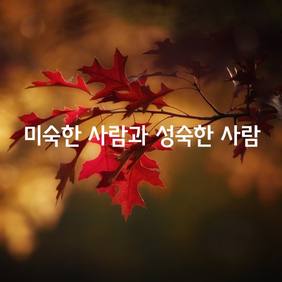  미숙한 사람과 성숙한 사람